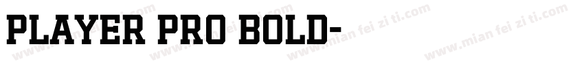 Player Pro Bold字体转换